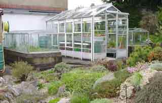 Greenhouse